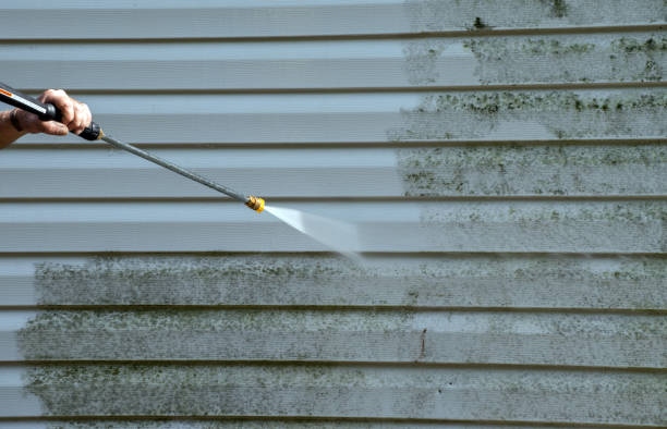 Best Deck Cleaning Services  in Wilberforce, OH